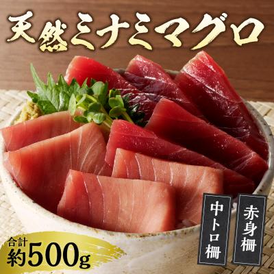 ふるさと納税 焼津市 天然南鮪　中トロ・赤身　刺身二種盛り(a20-427) |  | 01
