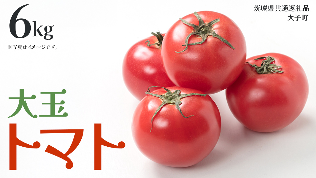 大玉 トマト 6kg (茨城県共通返礼品：大子町) 野菜 フルーツ 旬 季節限定 期間限定