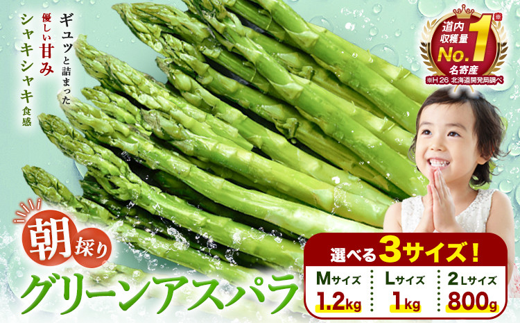 
            【先行予約】朝採りアスパラガス 選べる3サイズ Mサイズ(1.2kg) または Lサイズ(1kg) または 2Lサイズ(800g) 《2025年5月中旬-5月下旬頃出荷予定》北海道 名寄市 送料無料 朝採り 新鮮 アスパラ st-p
          