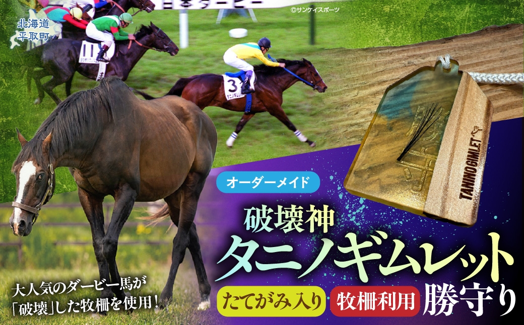 
                  【御守り】破壊神タニノギムレットたてがみ入り牧柵利用勝守り 【 ふるさと納税 人気 おすすめ ランキング 馬 競馬 競走馬 引退馬 タニノギムレット 日高 北海道 平取町 びらとり 送料無料 】 BRTV100
                