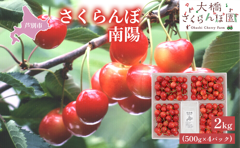 【 先行受付 】さくらんぼ 赤 南陽2kg（500g×4パック）高級 