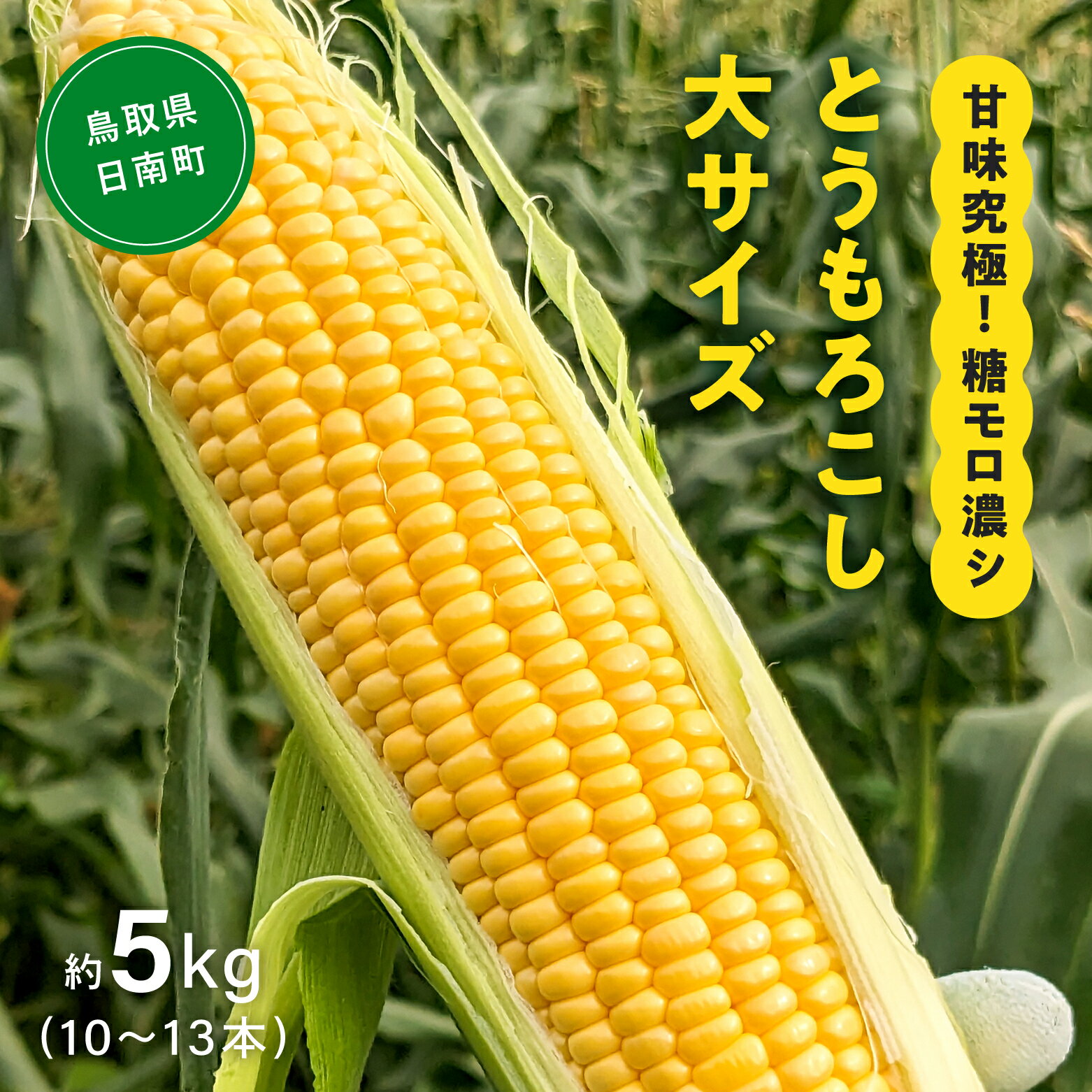 【ふるさと納税】甘味究極！ 糖モロ濃シ 大サイズ 5kg(10～13本)【とうもろこし】朝どれ直送 スイートコーン 産地直送 【配送不可地域：離島】 鳥取県日南町 星の農園