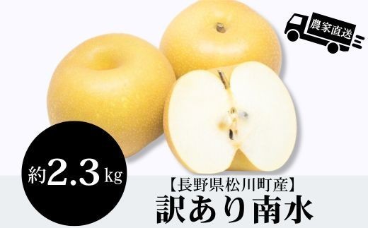 【訳あり】農家直送！糖度トップクラス果汁たっぷり南水 約2.3kg［HF57］// 9月下旬～10月上旬発送開始予定 // 長野県 南信州 減農薬栽培 和梨 家庭用 なし ナシ 南水 エコファーマー認証 農家支援 HF