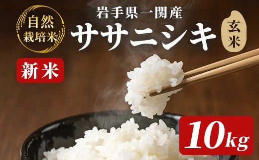 【新米先行予約】令和7年産 新米 自然栽培米 ササニシキ 10kg【玄米】