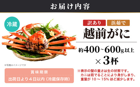 越前がに本場の越前町からお届け！【訳あり】≪浜茹で≫越前がに 3杯（生で1杯400～600g）食べ方しおり付【規格外 雄 ズワイガニ かに カニ 蟹 越前ガニ 姿 ボイル 冷蔵 福井県】【2月発送分】