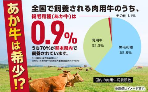 熊本県産 あか牛切り落とし 計1kg (500g×2P) 牛肉切り落とし あかうし切り落とし 国産切り落とし 牛肉 あかうし 切り落とし きりおとし【五右衛門フーズ】[YBZ009]