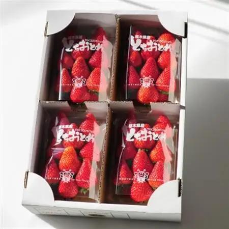 春イチゴ『とちおとめ』(260g×4パック)_果物・フルーツ いちご  イチゴ 苺_【配送不可地域：離島】【1389986】