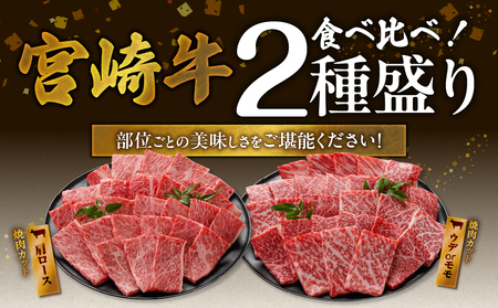 畜産農家応援! 宮崎牛焼肉2種セット250g×2パック+豚肉ハンバーグ100g×4個≪みやこんじょ快速便≫_13-N202-R-ESH_(都城市) 赤身 霜降り 食べ比べ 肩ロース ウデ モモ 焼き肉