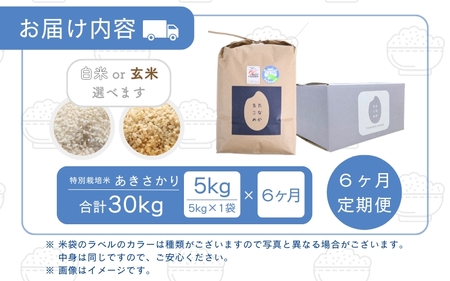 【先行予約】【令和7年産】定期便 ≪6ヶ月連続お届け≫ 受賞歴多数！福井県 坂井町産 特別栽培米あきさかり 5kg (白米) 【2025年10月上旬より順次発送予定】 [F-4804_01]