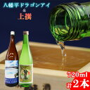 【ふるさと納税】 地酒 日本酒 鷲の尾 八幡平ドラゴンアイ 720ml 上撰 720ml 各1本 ／ わしの尾 酒 お酒 おさけ さけ アルコール お取り寄せ sake ご当地 お土産 贈答 家飲み 宅飲み 手土産 飲み会 自宅用 家庭用 晩酌 贈り物 ギフト 東北 岩手県 八幡平市 送料無料 澤口酒店