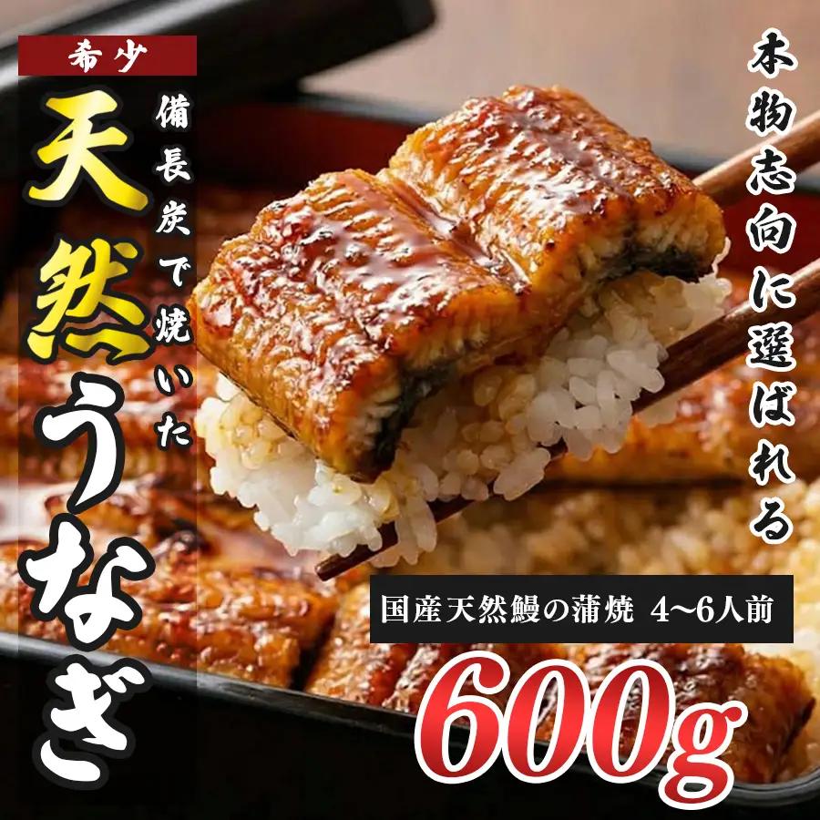 希少 天然 鰻 蒲焼  約4-6人前 600g 国産 四万十川 うなぎ ウナギ  蒲焼き ウナギ蒲焼 鰻蒲焼 うな重 備長炭 炭火 炭火焼き 冷凍 湯せん 小分け 贈答 お取り寄せ ギフトご褒美 簡単 土用の丑の日 高知県 大月町