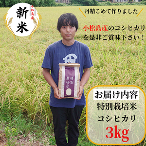 【2025年9月順次発送】令和7年産 新米 白米 3kg 特別栽培米 コシヒカリ コシヒカリ コシヒカリ コシヒカリ コシヒカリ
