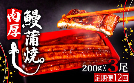 【12ヶ月連続定期便】うなぎ 蒲焼 肉厚 養殖 鰻 200g×3尾 セット ( ふっくら 香ばしい 頭付き 鰻 手焼き 蒲焼 タレ付き ふっくら 香ばしい うなぎ蒲焼き 鰻蒲焼 台湾産 養殖鰻 養殖う