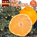 【ふるさと納税】 先行予約 不知火 秀品 【選べる内容量】約5kg M～3L 【2025年1月下旬から2025年4月下旬発送予定】デコポンと同品種 しらぬい 柑橘 熊本県 宇城市 送料無料