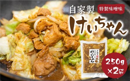 白川郷 自家製 けいちゃん 250g×2袋セット 鶏肉 味付け肉 味噌味 焼肉店オリジナル 簡単おかず 冷凍 味付き 郷土料理 白川村 てんから アウトドア BBQ 5000円  [S913] 年内配送 年内お届け