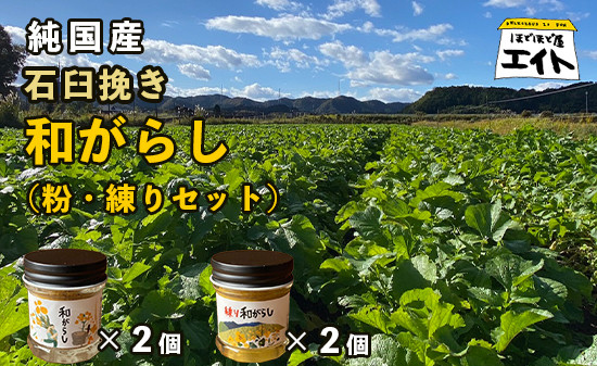 
純国産石臼挽き和がらし詰め合わせ4個セット（粉和がらし2個 練り和がらし2個）国産 からし 和辛子 石臼挽き セット 和がらし 詰め合わせ お土産 農家直送 贈答 プレゼント 京都 綾部
