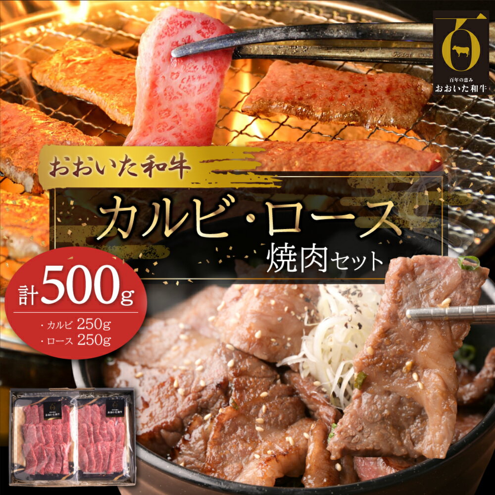 【ふるさと納税】おおいた 和牛 カルビ & ロース 焼肉 セット 【 合計500g 】 牛肉 焼肉 九州産 大分県産 姫島村 G23