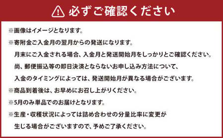 【12か月連続定期便】熊本便り！旬のフルーツ 詰め合わせ 定期便 くだもの 果物 フルーツ 熊本県産 国産