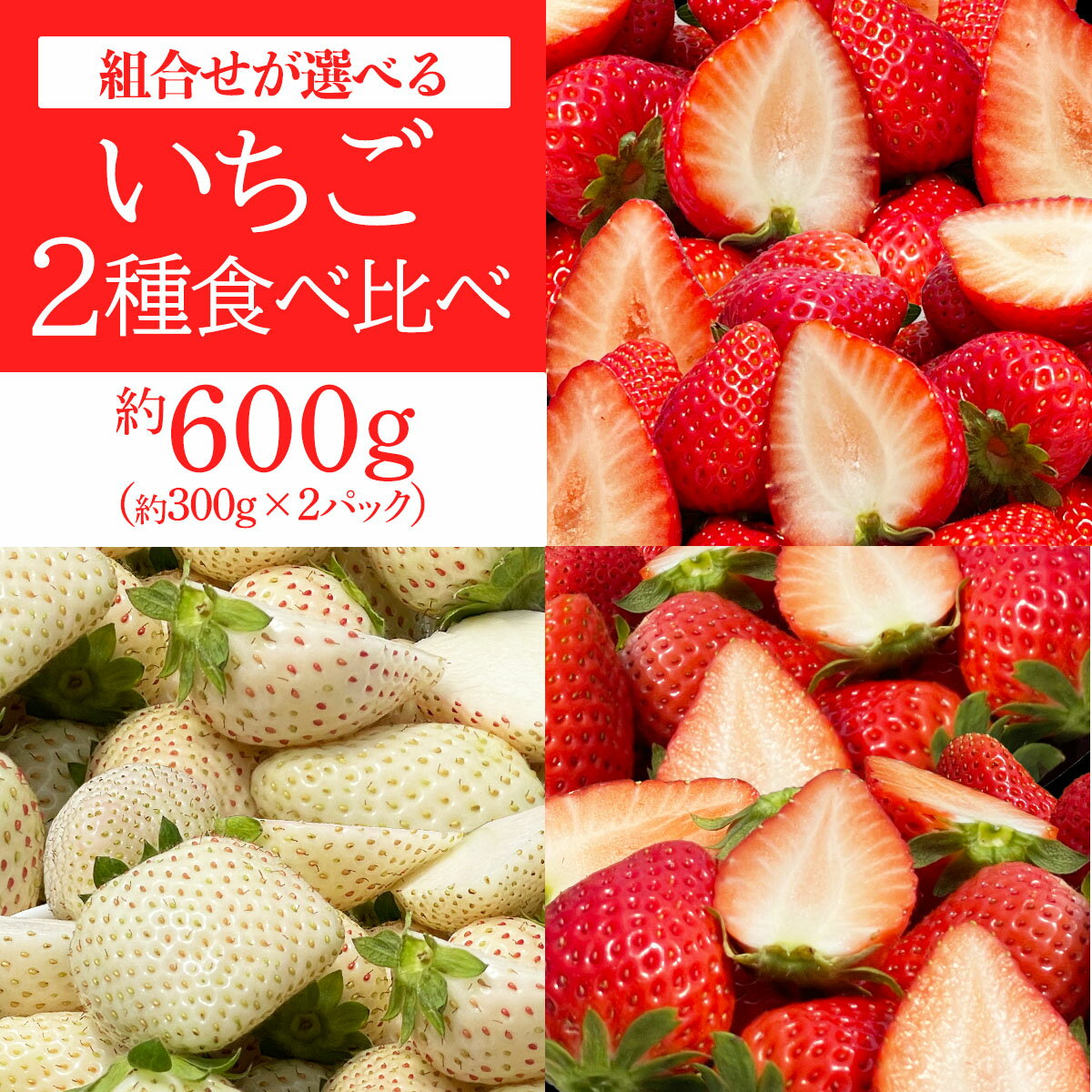 【ふるさと納税】[先行予約] いちご 2種食べ比べセット「とちあいか＆スカイベリー／とちあいか＆ミルキーベリー／スカイベリー＆ミルキーベリー」各1パック 計約600g [2026年1月中旬から順次発送]｜いちご イチゴ 苺 果物 フルーツ 日光産 栃木県産 期間限定 [0677-0680]
