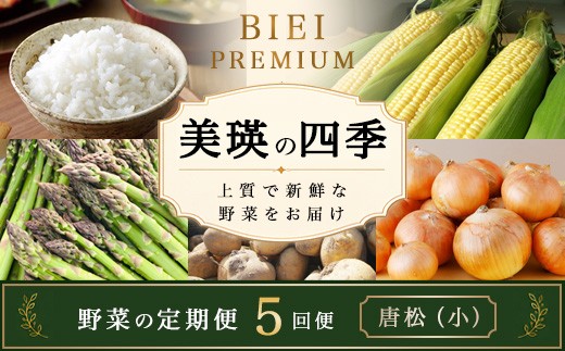 
                  野菜 定期便 【令和9年産 先行予約】5回便 美瑛の四季～唐松（小）～ 美瑛米 アスパラ とうもろこし じゃがいも 玉ねぎ | 野菜セット 野菜詰め合わせ 北海道 美瑛 野菜定期便 5回 5ヶ月 5か月 新鮮 ななつぼし お米 コメ アスパラガス ラスノーブル グリーンアスパラ トウモロコシ コーン とうきび いも ジャガイモ たまねぎ 採れたて 野菜 セット 人気 産地直送  [049-08]
                