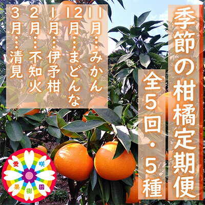 【ふるさと納税】【発送月固定定期便】愛咲果樹園「季節の柑橘定期便」(11月～3月)全5回【F71-21】【4013523】