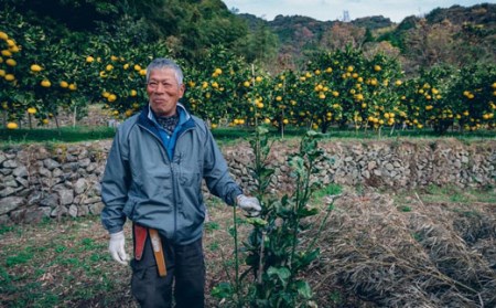 石黒定行の土佐文旦5kg贈答用