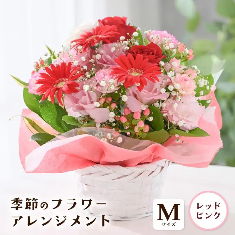 季節のフラワーアレンジメント M (レッド・ピンク) 花束 生花 プレゼント [A-20712_01]
