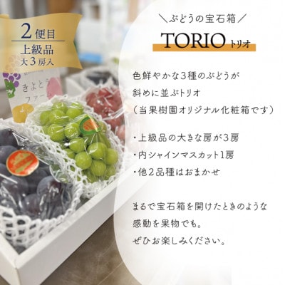 【発送月固定定期便】【きよとうファーム】岡山の桃、ぶどう、梨を産地直送!多品種を楽しむ定期便全3回【配送不可地域：離島】