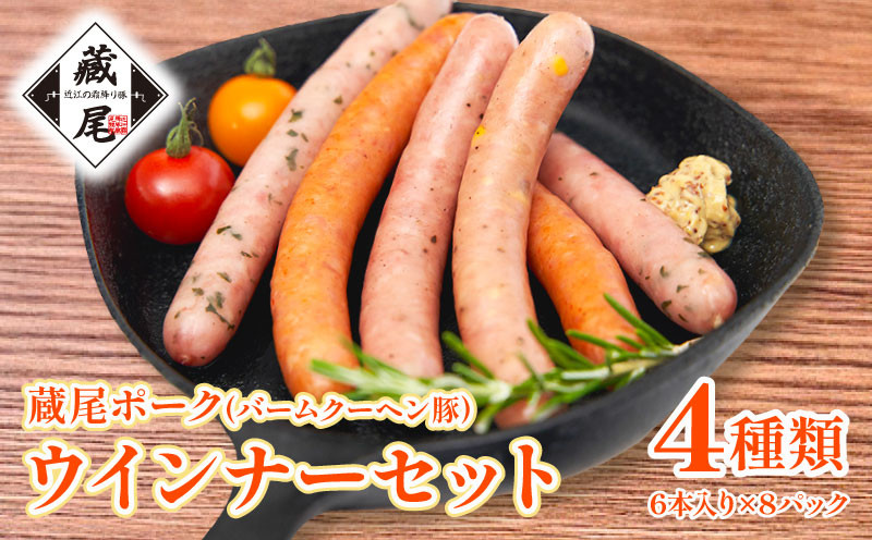 
            ウインナー セット 4種  計48本 冷凍 たっぷり 豚肉 100％ ポーク ジューシー チョリソー チーズ ソーセージ お弁当 おかず 惣菜 晩ごはん BBQ 鍋 贅沢 ギフト 贈り物  簡単  蔵尾ポーク バームクーヘン豚
          