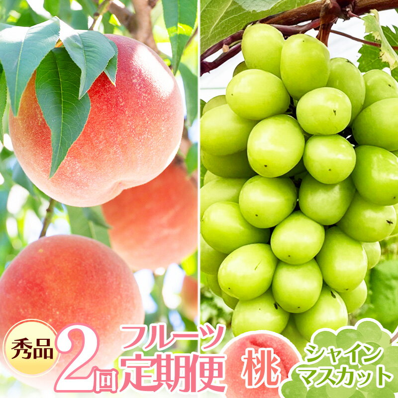 【ふるさと納税】【先行予約】令和8年産 フルーツ 2回 定期便 桃 シャインマスカット 秀品 山形県産 【2026年8月上旬頃から発送開始予定】※配送不可 沖縄・離島 2026年産 果物 フルーツ 果実 産地直送 新鮮 贈答 ギフト 特産