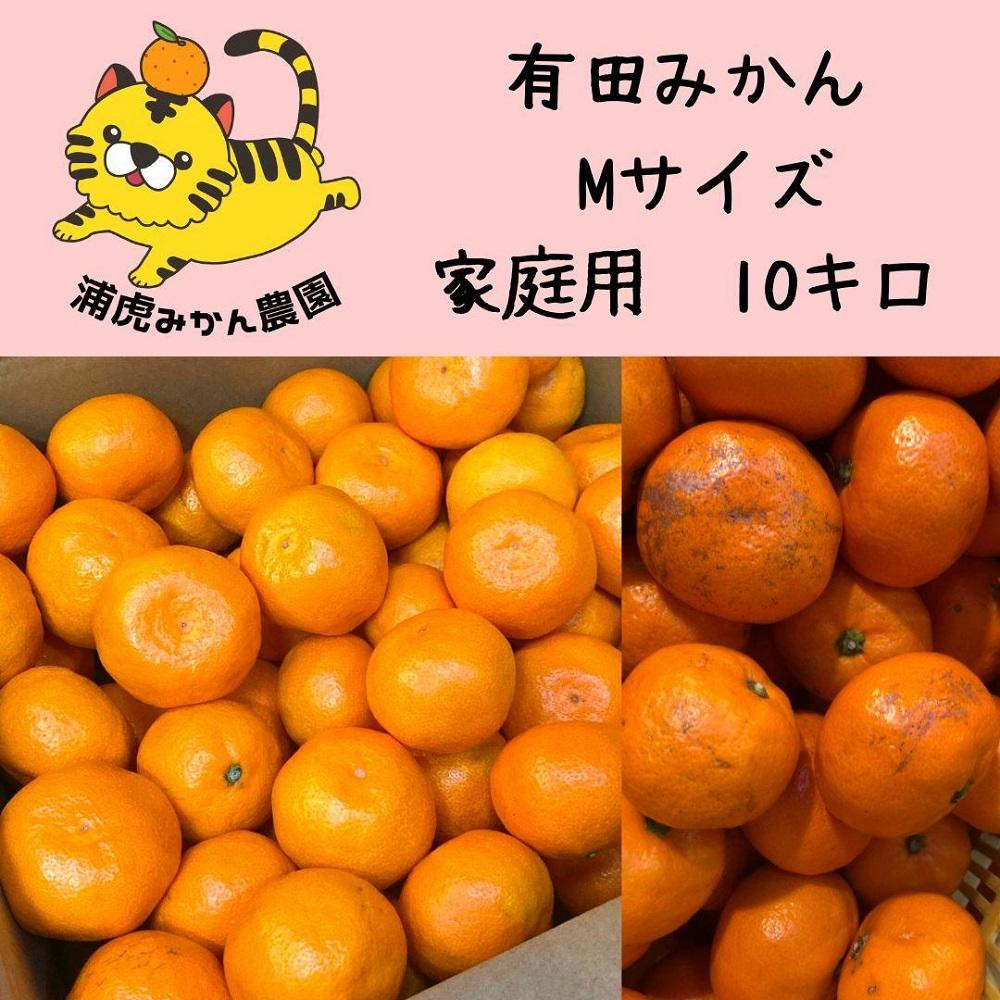 
訳あり温州みかん 家庭用 10kg (Mサイズ指定)
