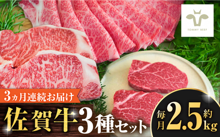 【全3回定期便】佐賀牛 すき焼き用とサーロインステーキとヒレステーキ食べ比べ 計7.65kg / ブランド牛 和牛 黒毛和牛 小分け / 佐賀県 / 有限会社佐賀セントラル牧場 [41ASAA278]