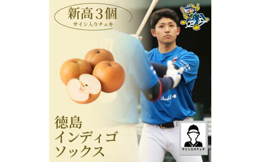 【新高3玉 選手サイン入りチェキ】 先行予約 徳島 インディゴソックス コラボ 梨 グッズ セット 《2025年9月下旬～順次発送》 果物 フルーツ 野球 四国アイランドリーグ 阿波市