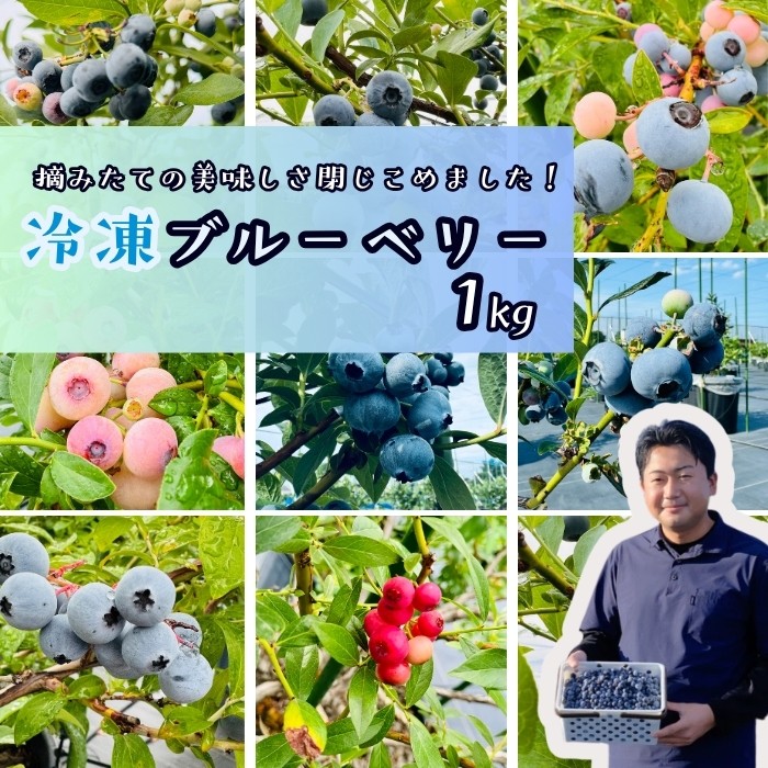 
                  恵農園の 冷凍ブルーベリー 1kg 摘みたて冷凍ブルーベリー 品種いろいろ 養液ポット栽培
                