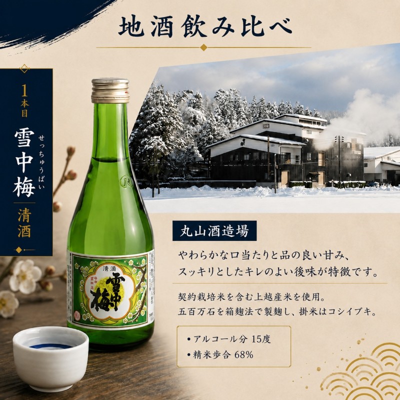 上越 地酒 飲み比べセット 300ml×6種  新潟の酒と米 まいどや