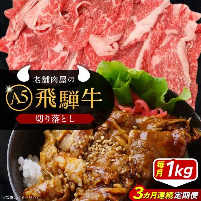 【3回定期便】 飛騨牛 切り落とし肉 A5ランク 500g×2パック (1kg) / 恵那市 / 岩島屋 [AUAJ033]