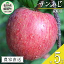 【ふるさと納税】 りんご サンふじ 家庭用 5kg 寺島農園 沖縄県への配送不可 令和6年度収穫分 長野県 飯綱町 【 信州 果物 フルーツ リンゴ 林檎 長野 予約 農家直送 13000円 】発送時期：2024年11月下旬～2025年1月中旬 {**}