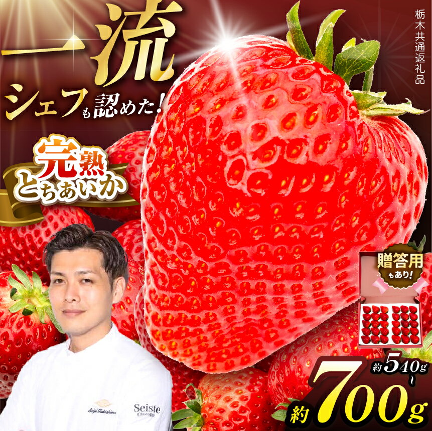 【ふるさと納税】栃木県産 完熟とちあいか　グランデ　DX　贈答用　 随時出荷 産地 大粒 味覚 いちご 苺 イチゴ ストロベリー 大きい ジューシー 甘い あまい 甘味 人気 栃木県 共通返礼品　下野市 送料無料