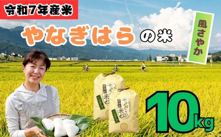 米 【10kg】 令和7年産 風さやか 長野県産【やなぎはらの米】7-71