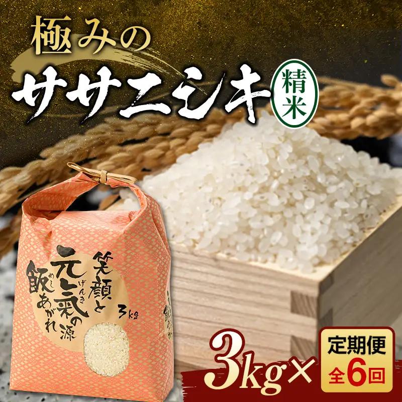 新米 令和8年産 6回 定期便 ササニシキ 精米 3kg 【F3S-2835】