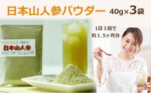 
★希少★日本山人参パウダー40g×3袋
