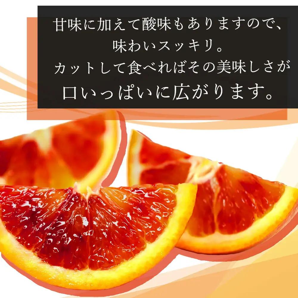 希少な柑橘!紀州有田産ブラッドオレンジ約5kg 【ご家庭用】※2027年3月上旬頃～3月下旬頃に順次発送 (お届け日指定不可) 【uot853】