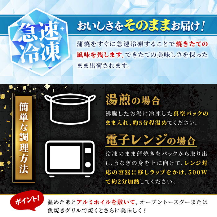 ＜尾数が選べる！＞無投薬！鹿児島県産うなぎ蒲焼セット＜特大＞(計480g・ 約160g×3尾) タレ・山椒付【西日本養鰻】A506-v01 【3尾】計480g