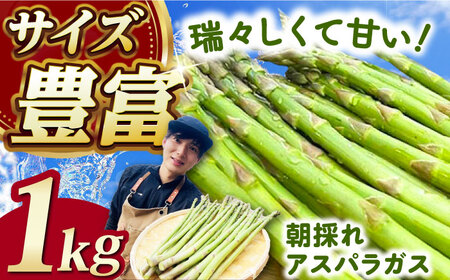 【3月中旬以降順次発送】訳あり！朝採れアスパラガス１kg 《対馬市》【農家くんのアスパラファーム】 アスパラガス アスパラ  野菜  アスパラガス アスパラ  アスパラガス アスパラ アスパラガス アスパラ 野菜 九州 長崎 [WCT001]