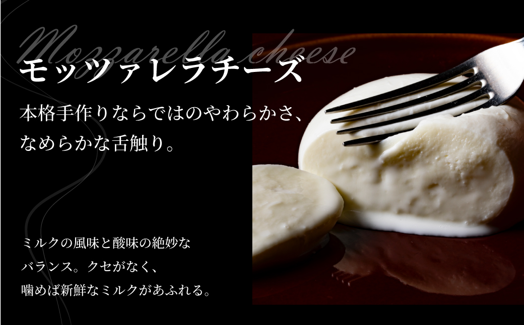 モッツァレラチーズ （1個125g）２個 セット　チーズ モッツァレラ 冷蔵  個包装 カプレーゼ パスタ ピザ  前菜 サラダ 新鮮 生乳 国産 低温殺菌 乳製品 無添加 飛騨高山 トリデンテ リア