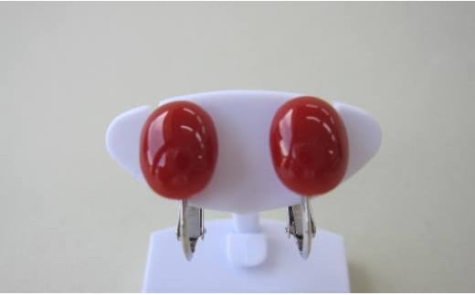 高知県産血赤珊瑚のオーバルイヤリング