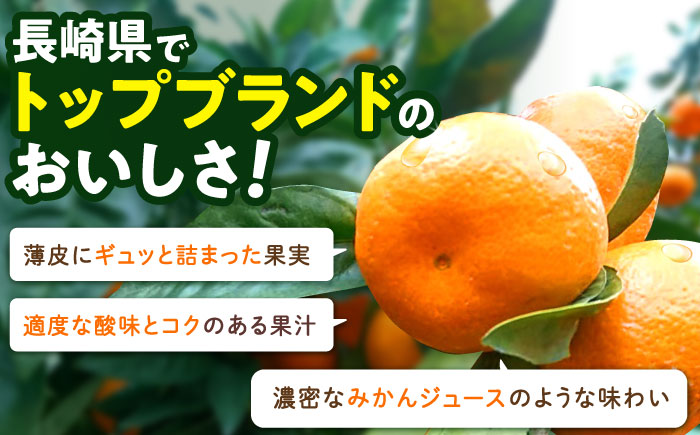 ※【2026年(令和8年)1月発送分／先行予約】伊木力温州みかん 10kg（ご家庭用）/ みかん ミカン 蜜柑 フルーツ 果物 / 諫早市 / 末永果樹園 [AHBD001]