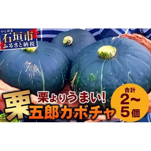 高級カボチャ「栗五郎」サイズ色々2-5個、お得セット！農薬を使わないシリカ水栽培 (1月～5月順次発送)【 産地直送 沖縄県 石垣市 石垣島産 カボチャ かぼちゃ 南瓜 減農薬 特別栽培 野菜  離島のいいもの 沖縄いいもの石垣島 】OI-13