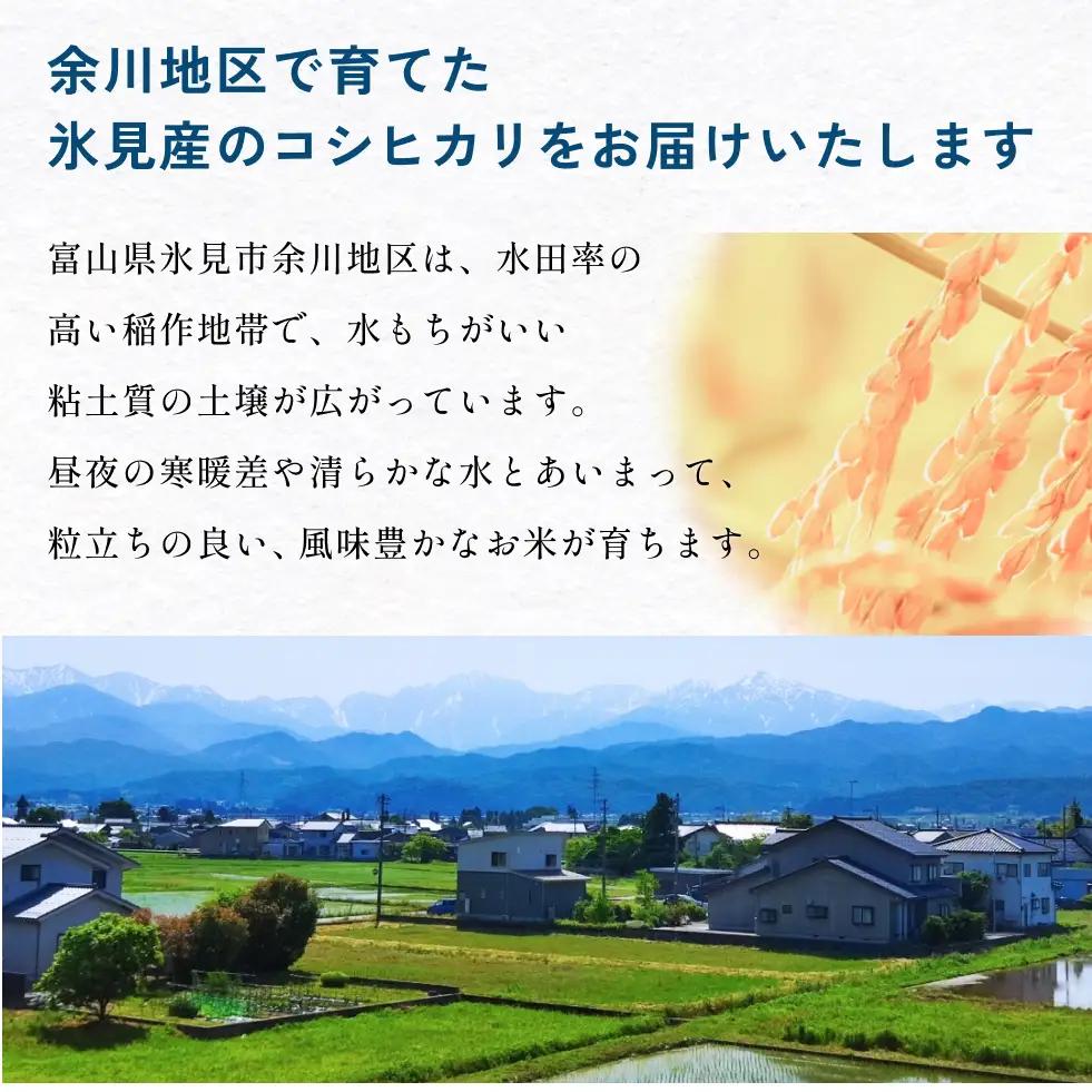 【6回定期便】富山県産 コシヒカリ 20kg 富山県 氷見市 米 コシヒカリ 定期便