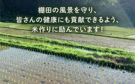 【先行受付中】 田縁米(でんえんまい)・瑞梅寺(ずいばいじ) 白米 5kg 【2026年12月上旬順次発送】糸島市 / NPO法人田縁プロジェクト 米 白米 [ATM004]